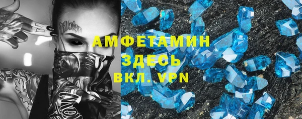 прущие грибы Няндома
