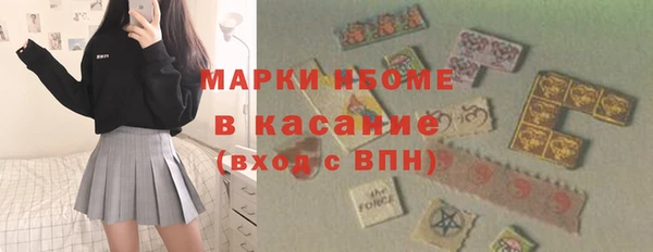 прущие грибы Няндома