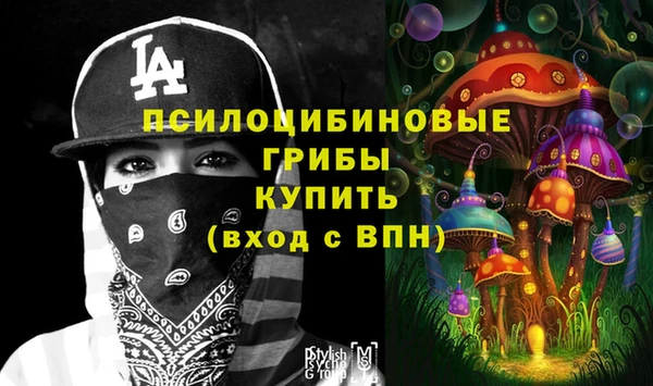 прущие крисы Алексин