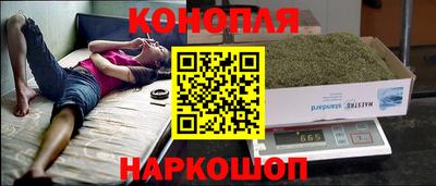 сатива Обь